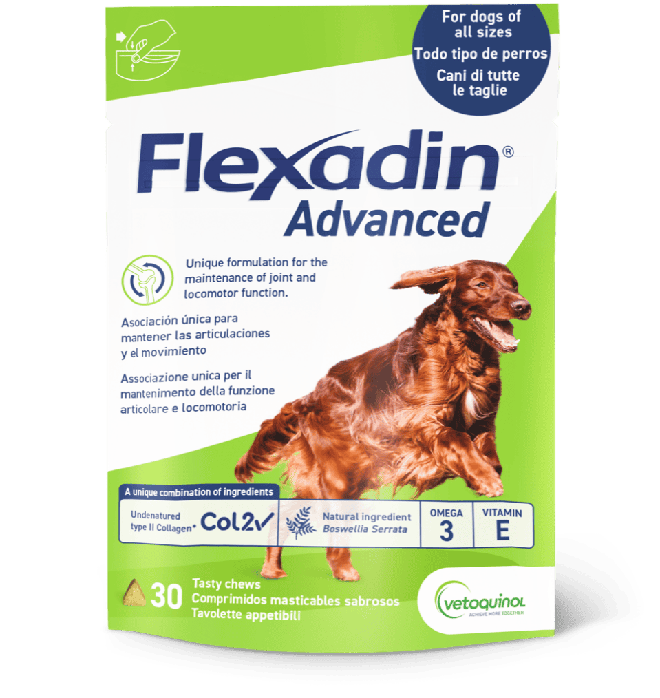 FLEXADIN ADVANCED Prémium kutya ízületvédő rágófalat 30db