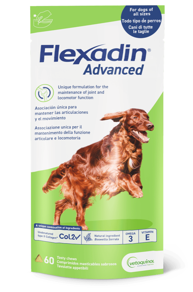 FLEXADIN ADVANCED - Prémium kutya ízületvédő rágófalat 60 db