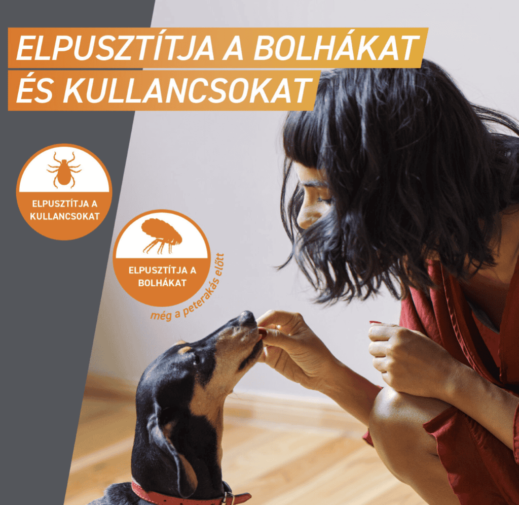 FrontPro rágótabletta 2–4 kg-os kutyáknak 3 db rágótabletta