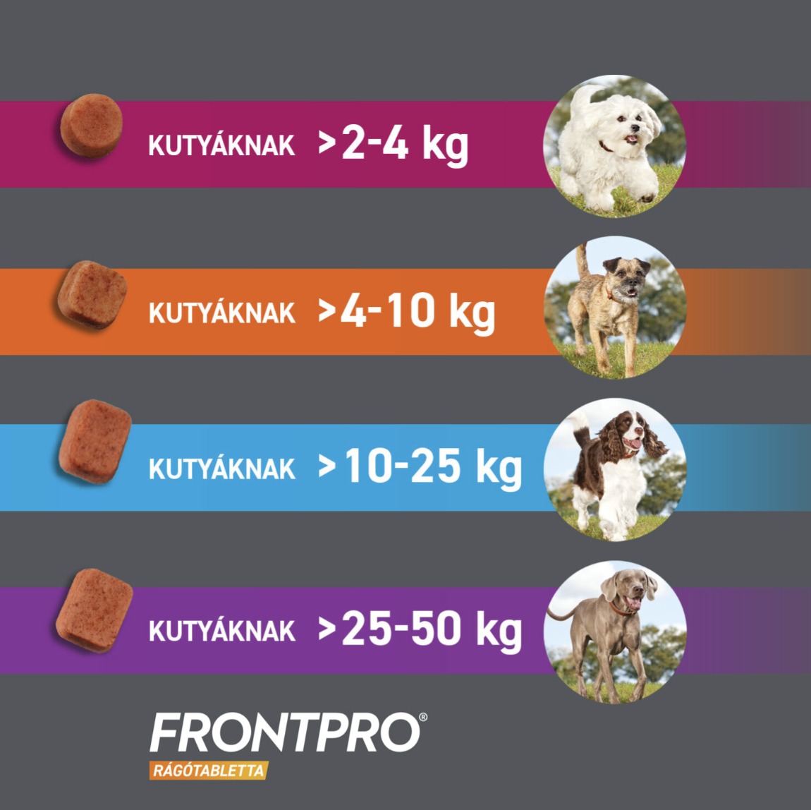 FrontPro rágótabletta 2–4 kg-os kutyáknak 3 db rágótabletta