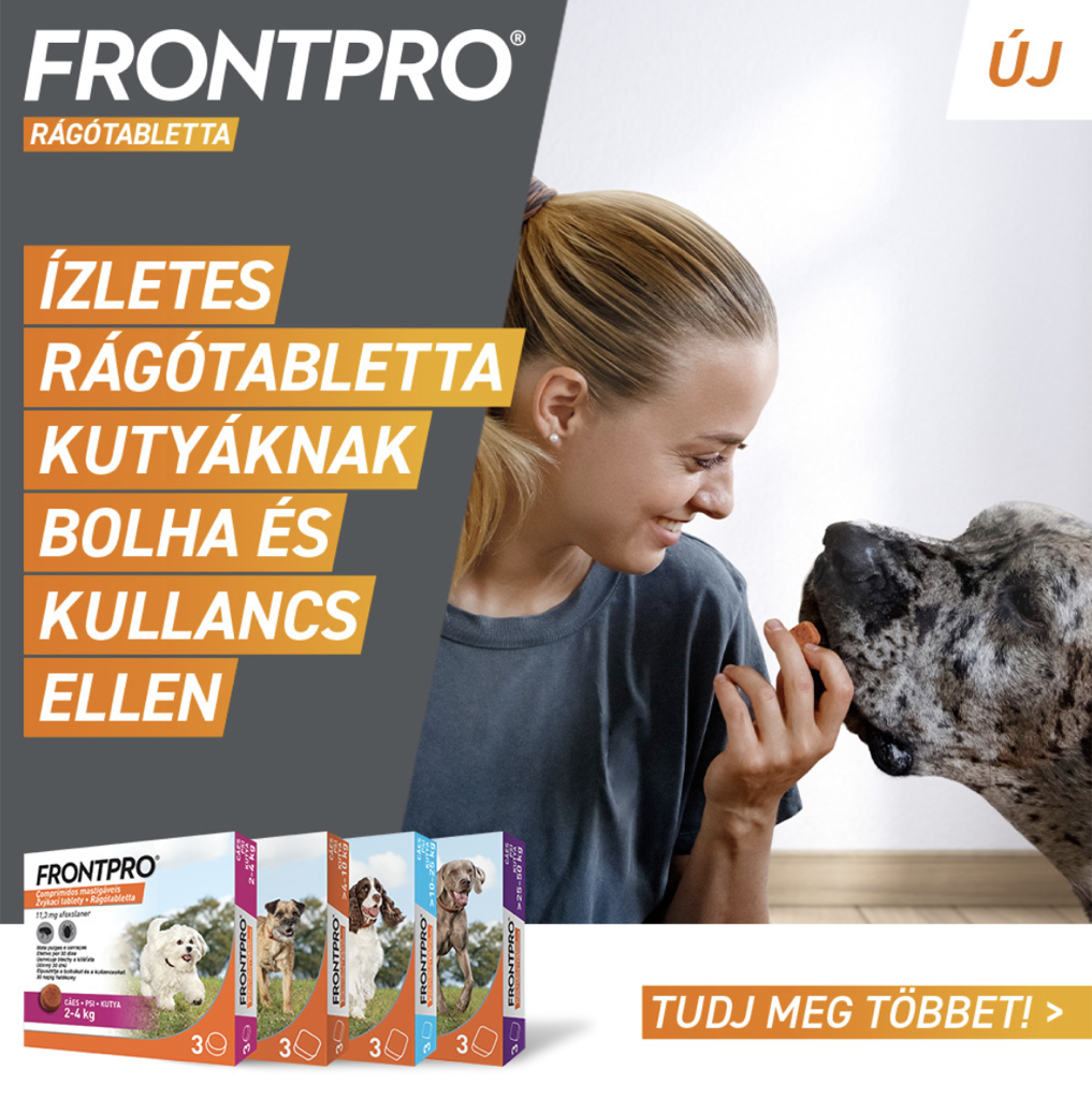 FrontPro rágótabletta 2–4 kg-os kutyáknak 3 db rágótabletta