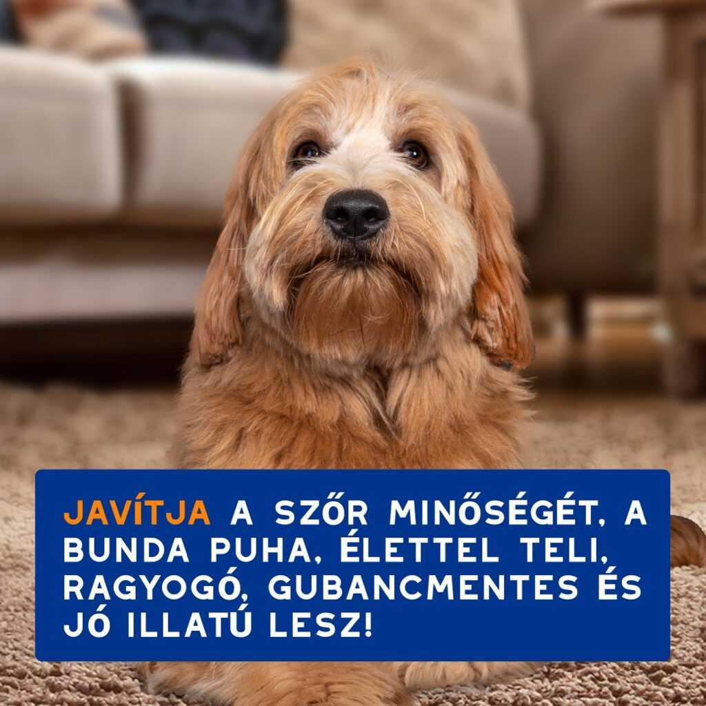 DOUXO SPA kifésülést segítő spray kutyáknak 295 ml