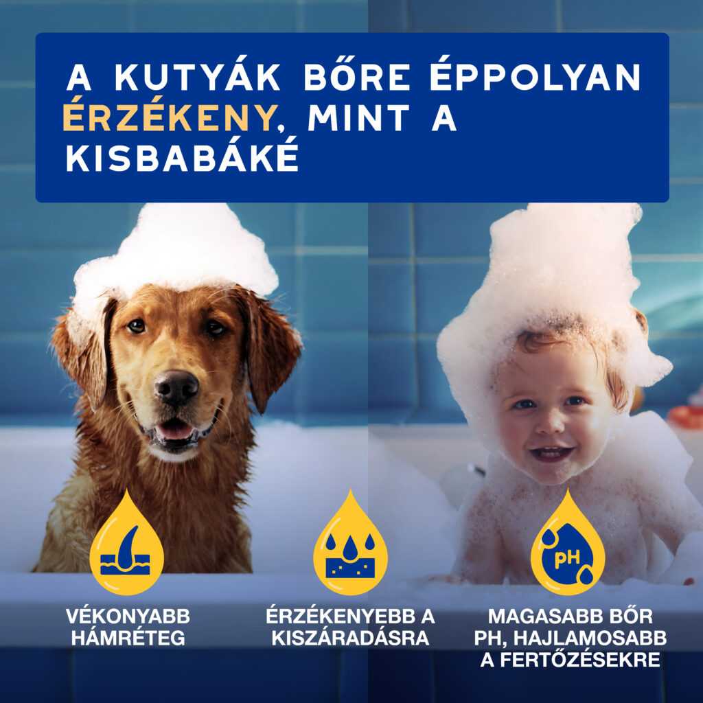 DOUXO SPA Hidratáló sampon kutyáknak 250 ml