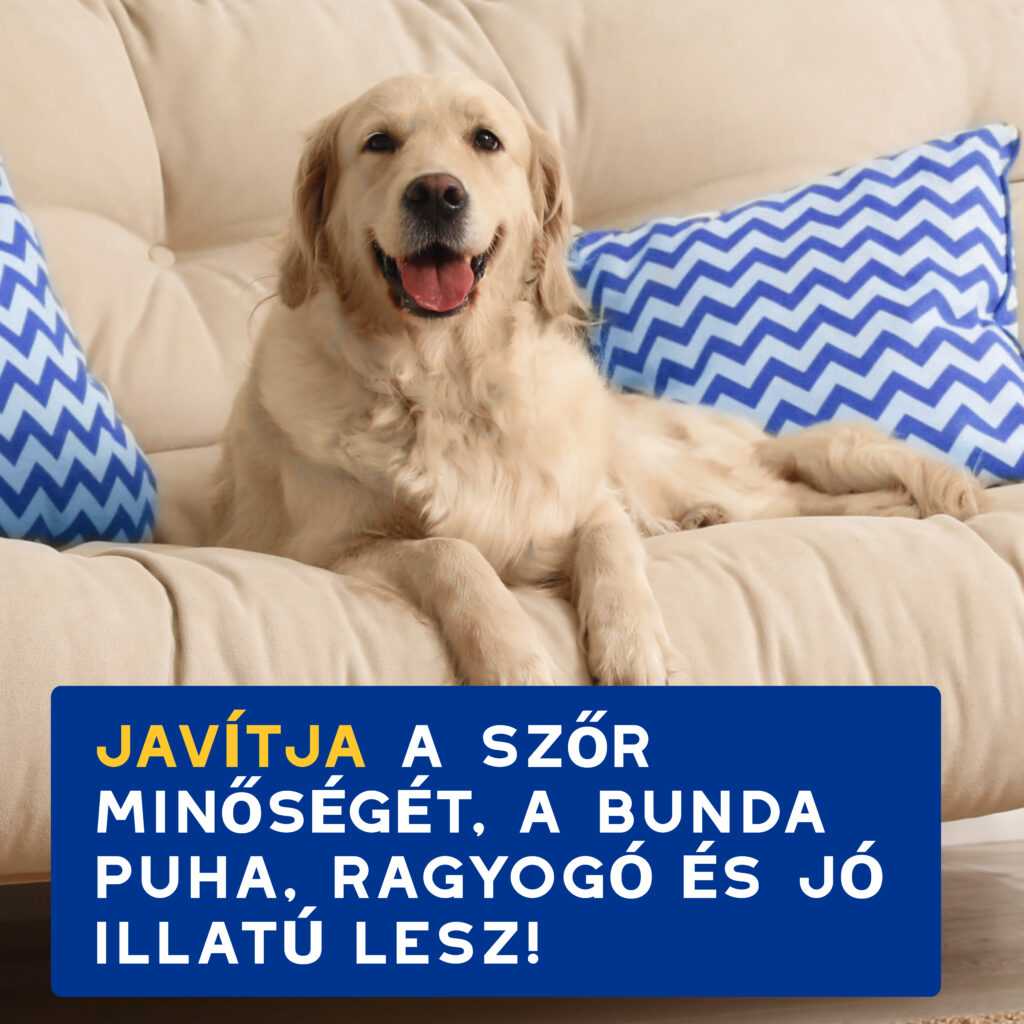 DOUXO SPA Hidratáló sampon kutyáknak 250 ml