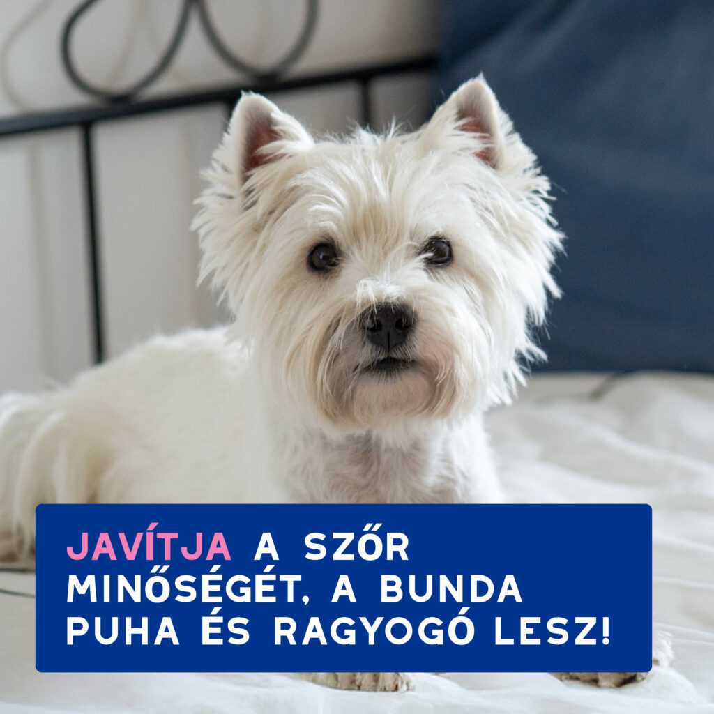 DOUXO SPA Viszketéscsillapító sampon kutyáknak 250 ml