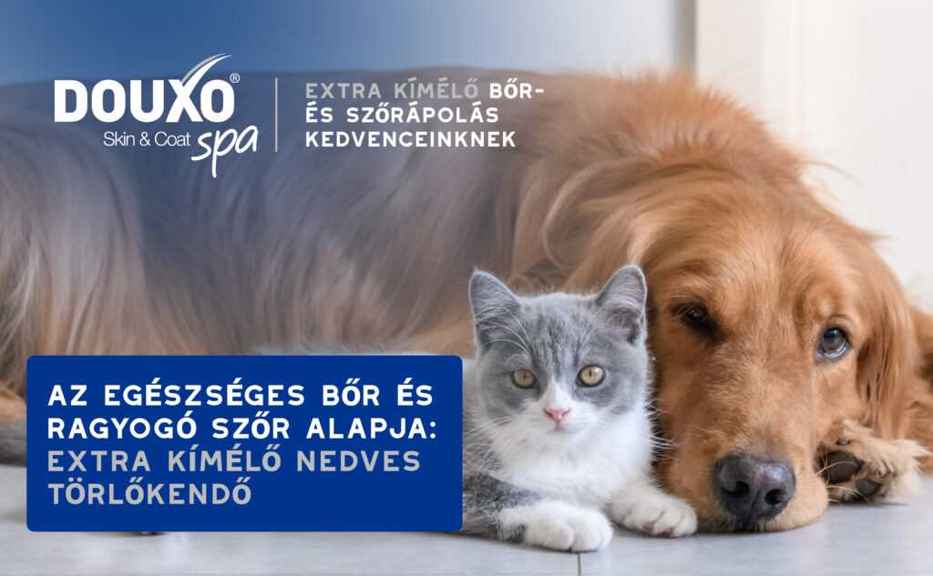 DOUXO SPA Törlőkendő kutyáknak és macskáknak 100 db