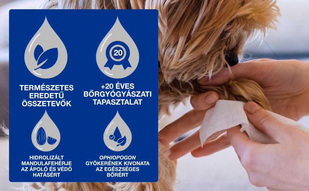 DOUXO SPA Törlőkendő kutyáknak és macskáknak 100 db