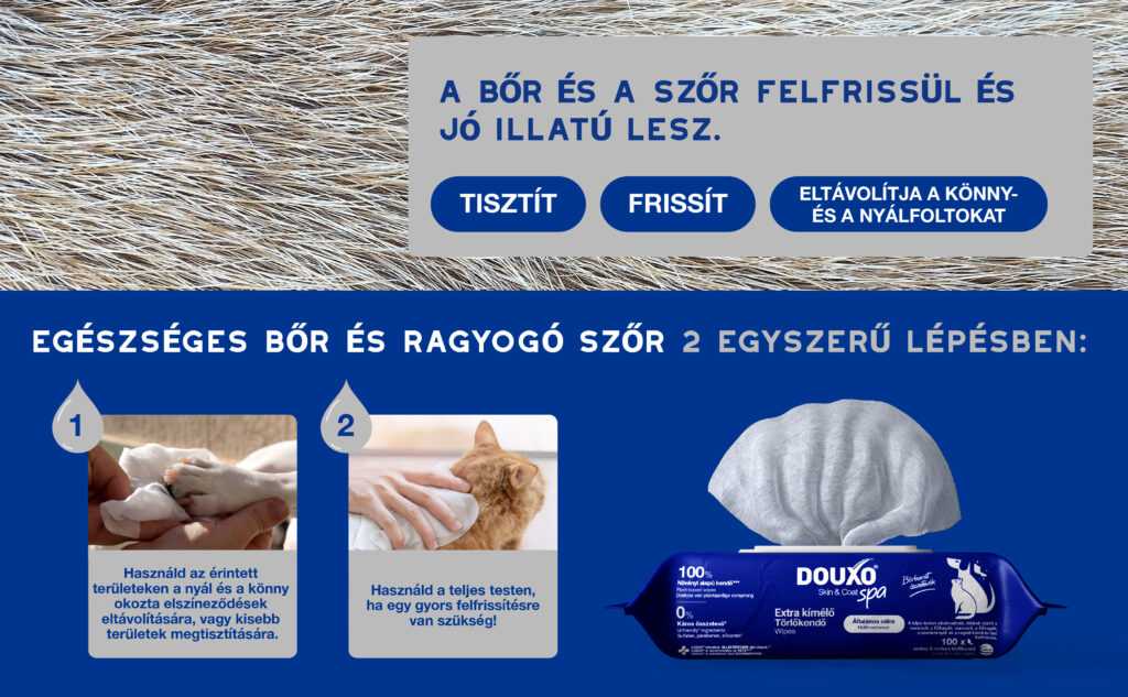 DOUXO SPA Törlőkendő kutyáknak és macskáknak 100 db
