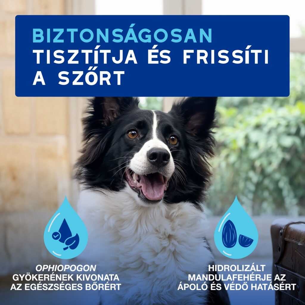DOUXO SPA Lemosást nem igénylő kutya tisztító hab 150 ml
