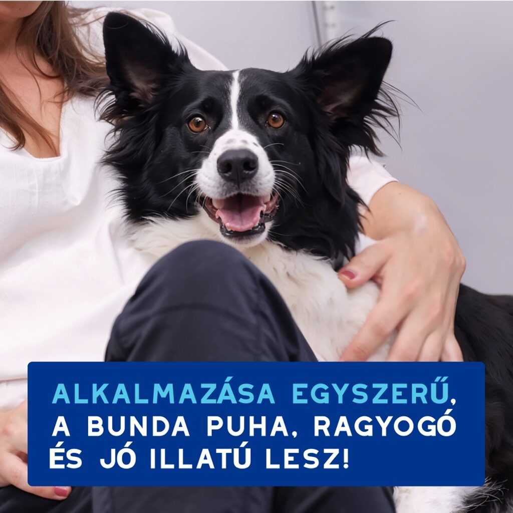 DOUXO SPA Lemosást nem igénylő kutya tisztító hab 150 ml