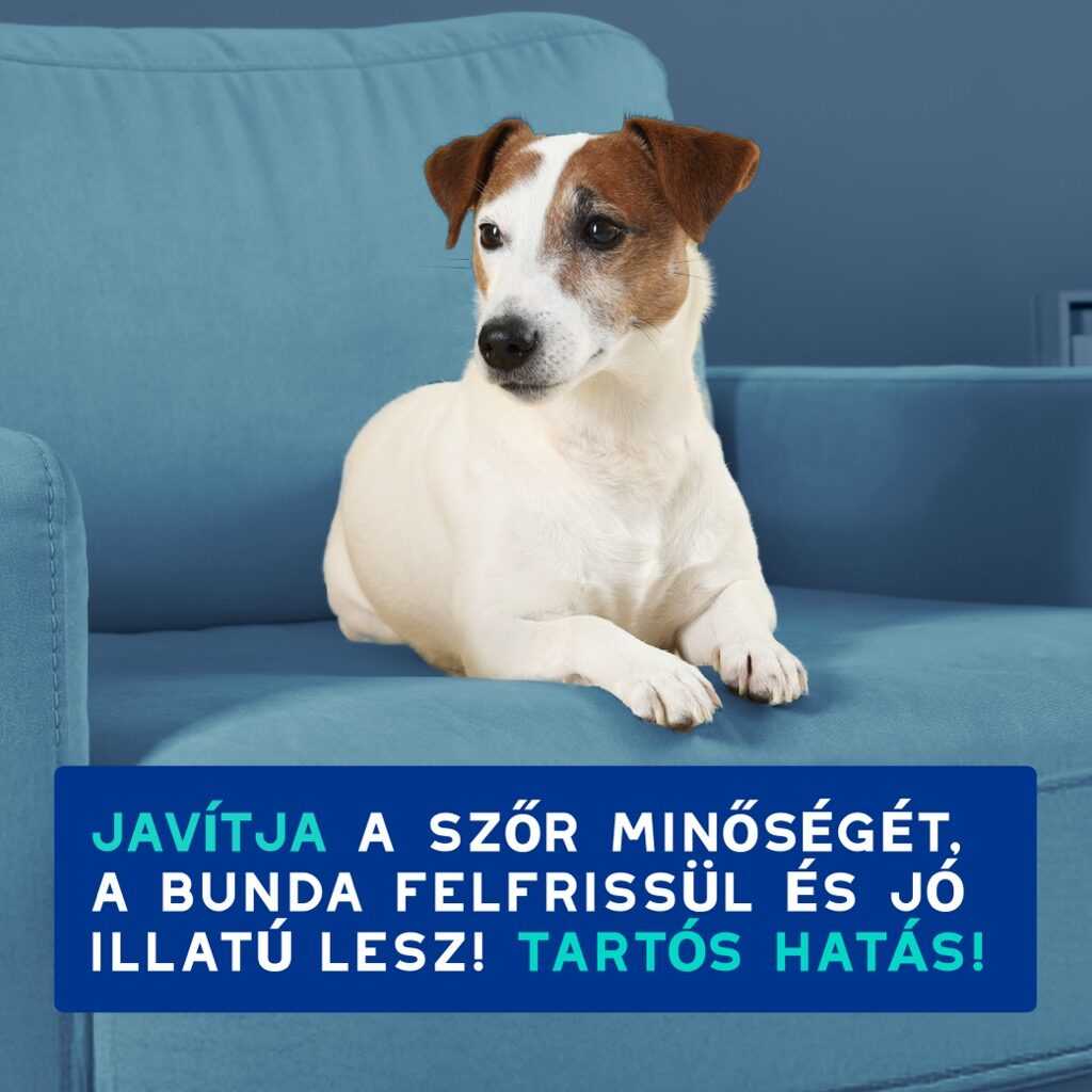 DOUXO SPA Szagsemlegesítő sampon kutyáknak – 250 ml