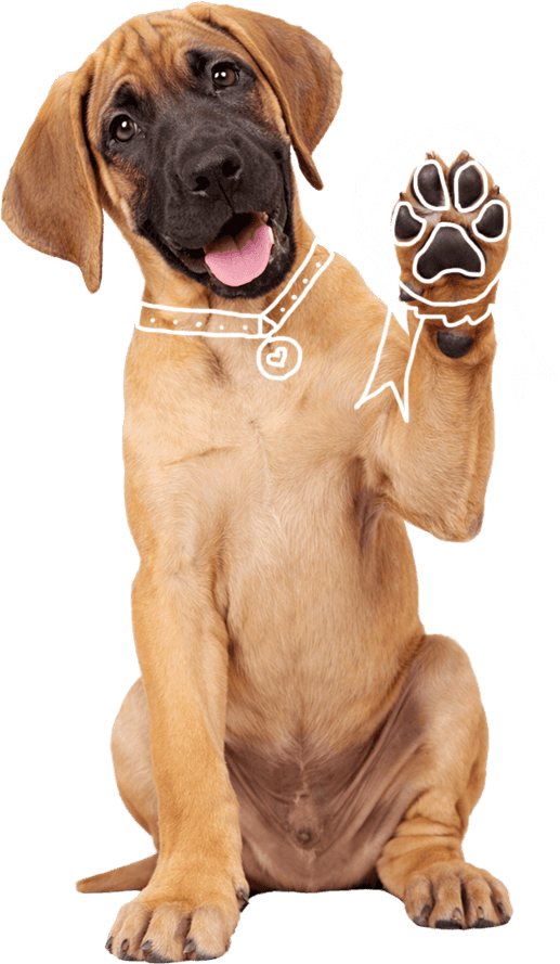 kisdog