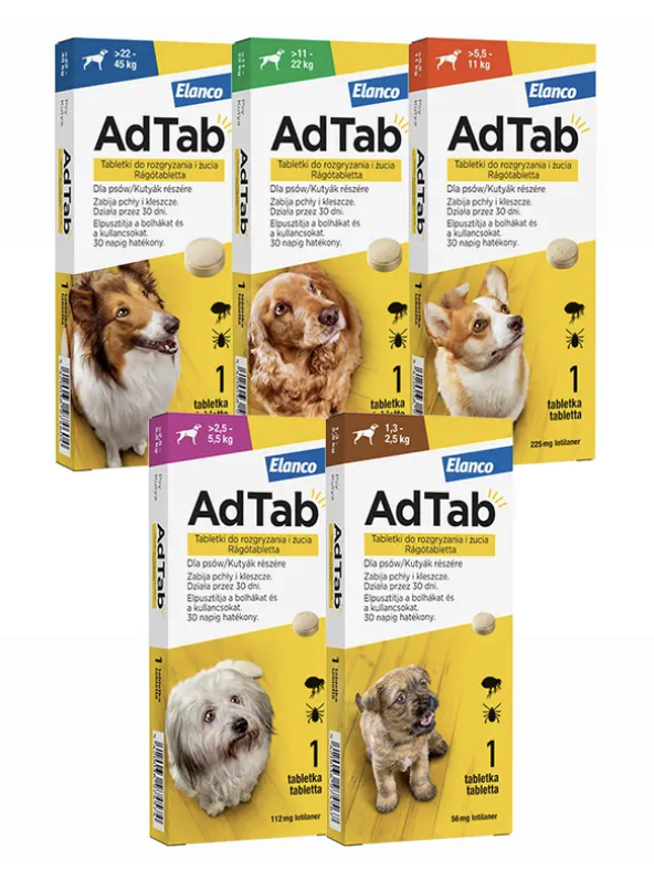 AdTab rágótabletta 1,3-2,5 kg tömegű kutyáknak