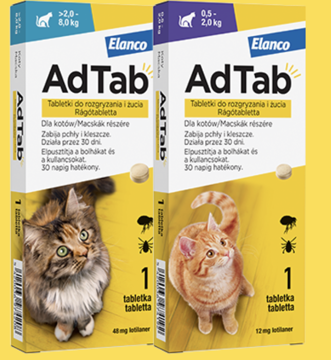 AdTab rágótabletta 0,5-2 kg tömegű macskáknak