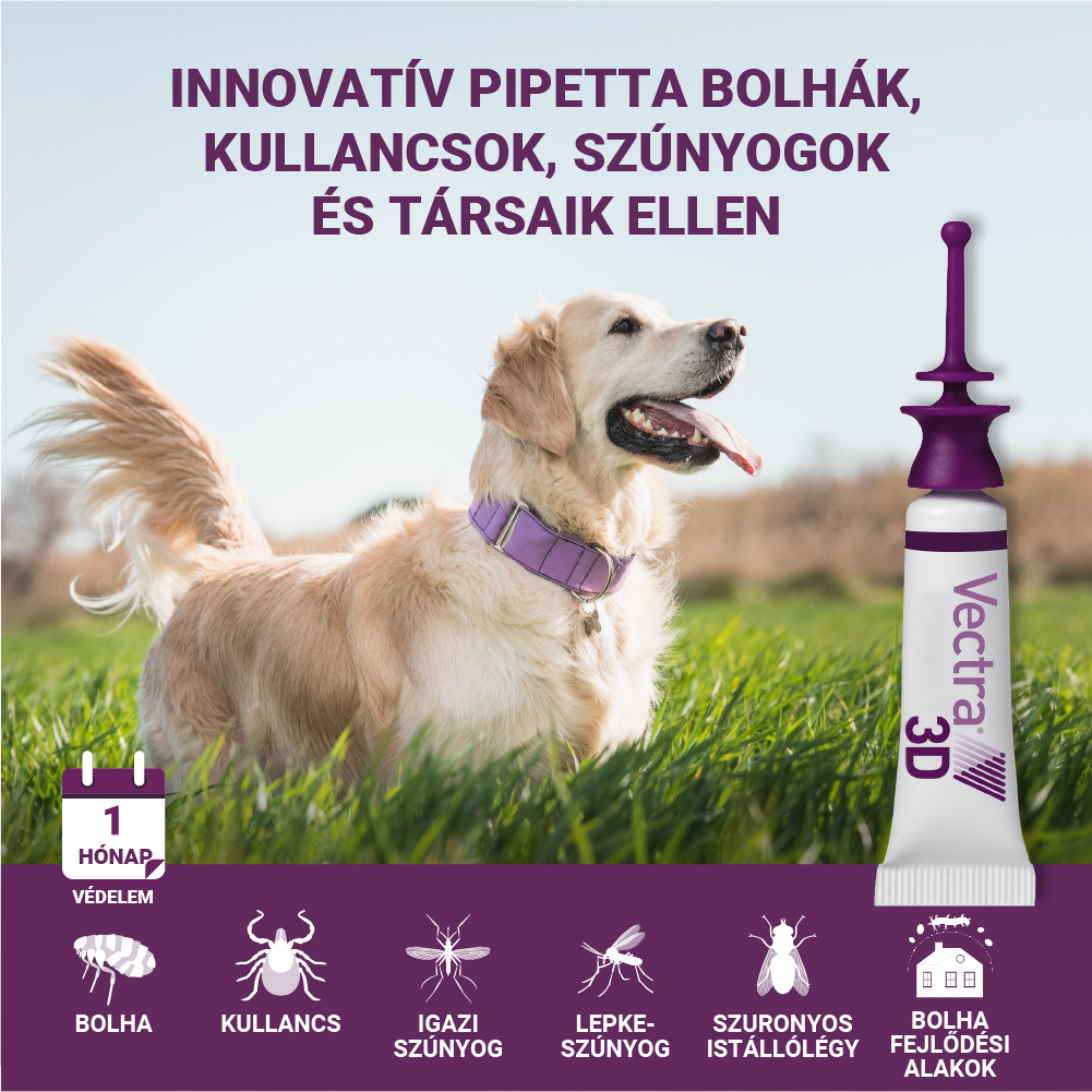 Vectra 3D Spot On 1,5-4 kg tömegű kutyáknak – Védelem szúnyog, kullancs és bolha ellen