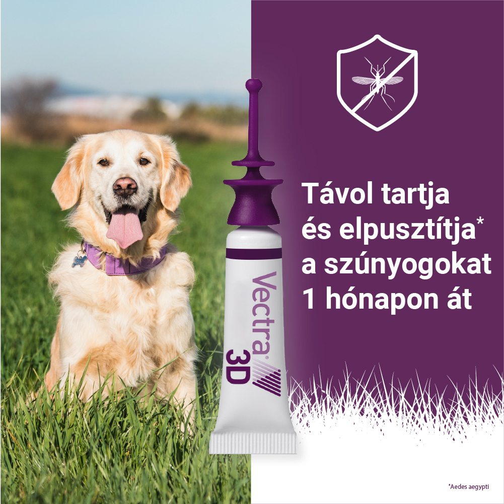 Vectra 3D Spot On 1,5-4 kg tömegű kutyáknak – Védelem szúnyog, kullancs és bolha ellen