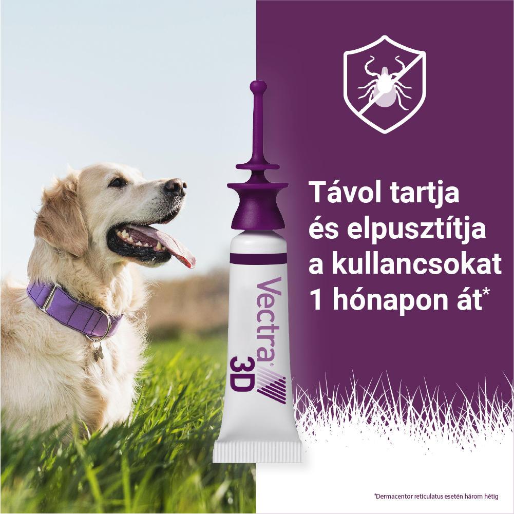 Vectra 3D Spot On 1,5-4 kg tömegű kutyáknak – Védelem szúnyog, kullancs és bolha ellen