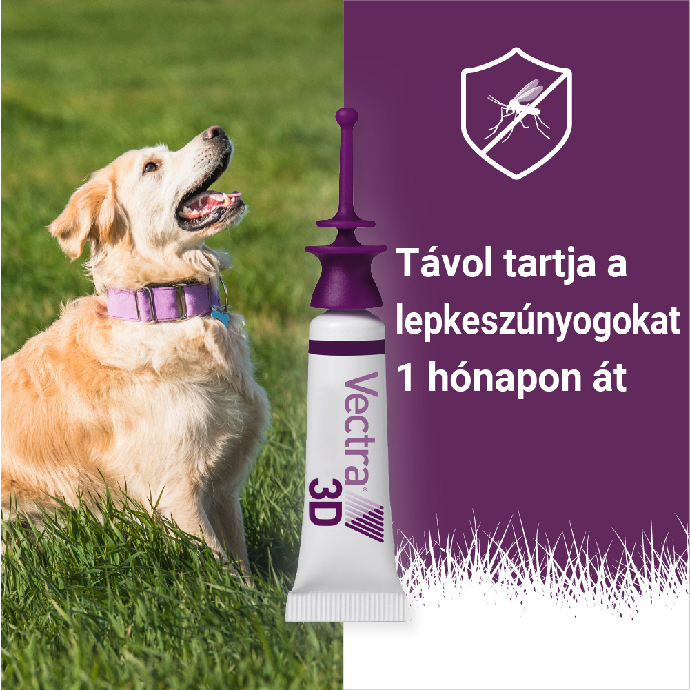 Vectra 3D Spot On 1,5-4 kg tömegű kutyáknak – Védelem szúnyog, kullancs és bolha ellen