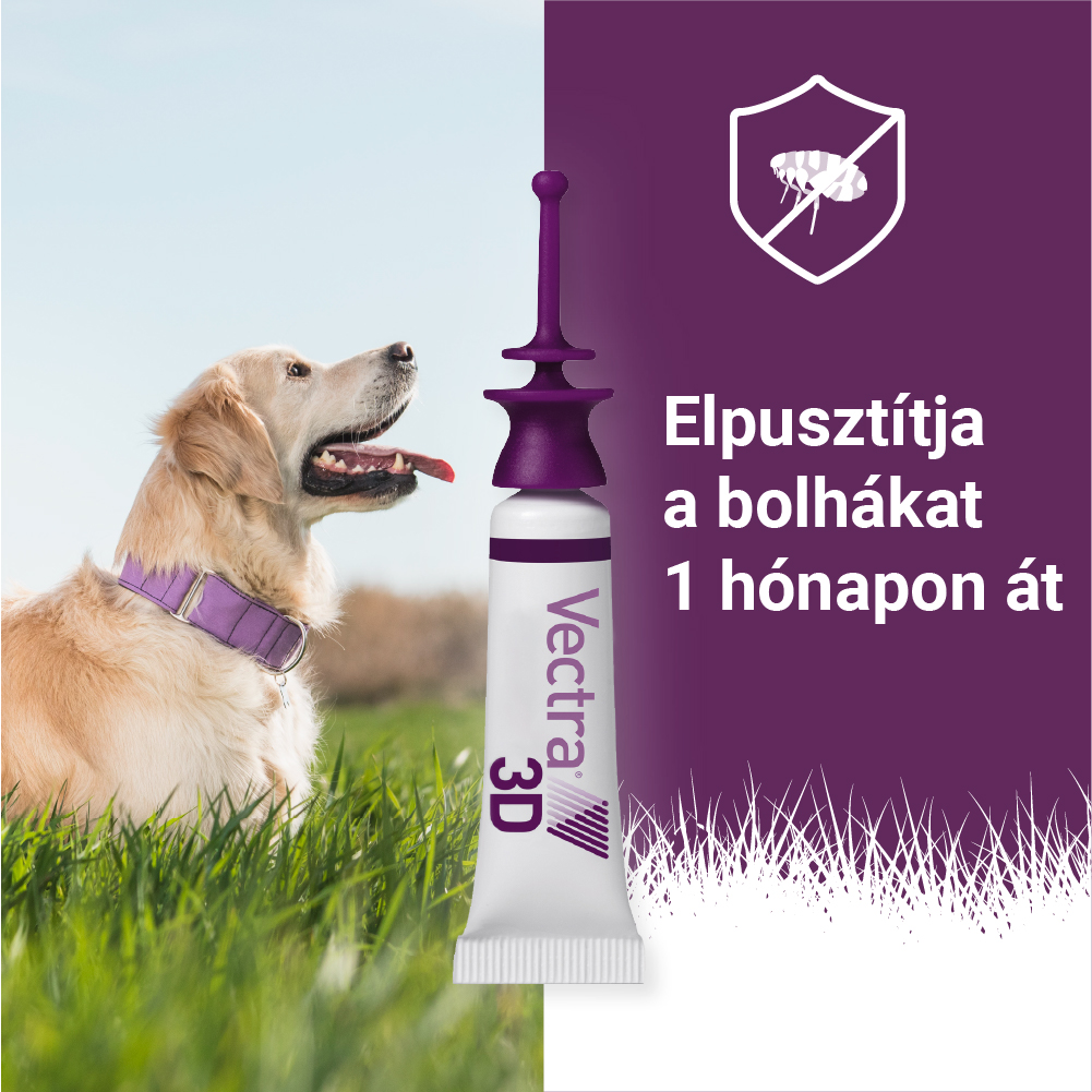 Vectra 3D Spot On 1,5-4 kg tömegű kutyáknak – Védelem szúnyog, kullancs és bolha ellen