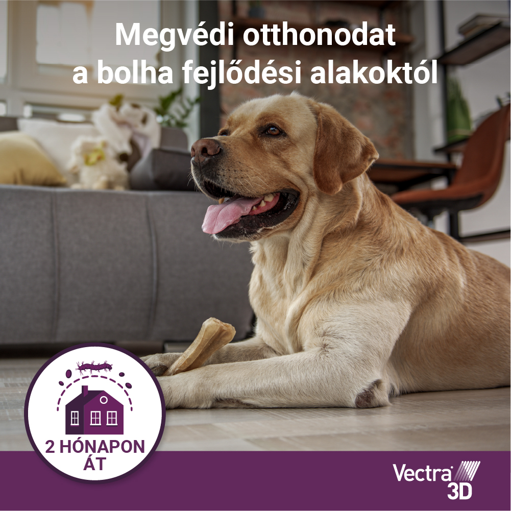 Vectra 3D Spot On 1,5-4 kg tömegű kutyáknak – Védelem szúnyog, kullancs és bolha ellen