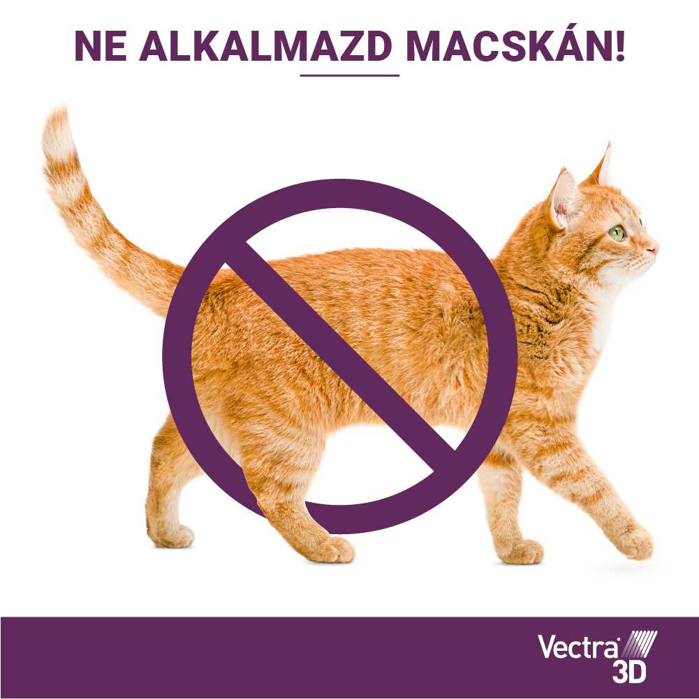 Vectra 3D Spot On 1,5-4 kg tömegű kutyáknak – Védelem szúnyog, kullancs és bolha ellen