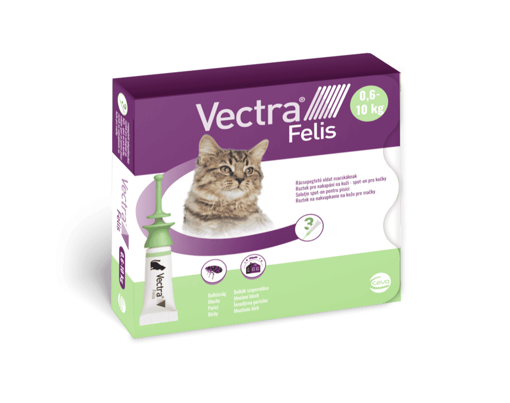 Vectra Felis macska Spot on bolha ellen