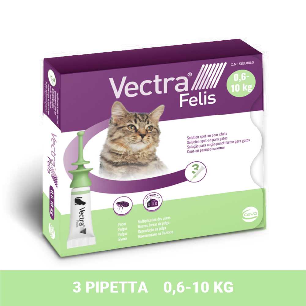 Vectra Felis macska Spot on bolha ellen