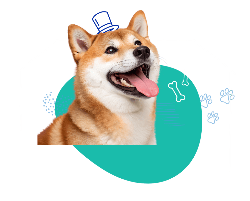 kutya
