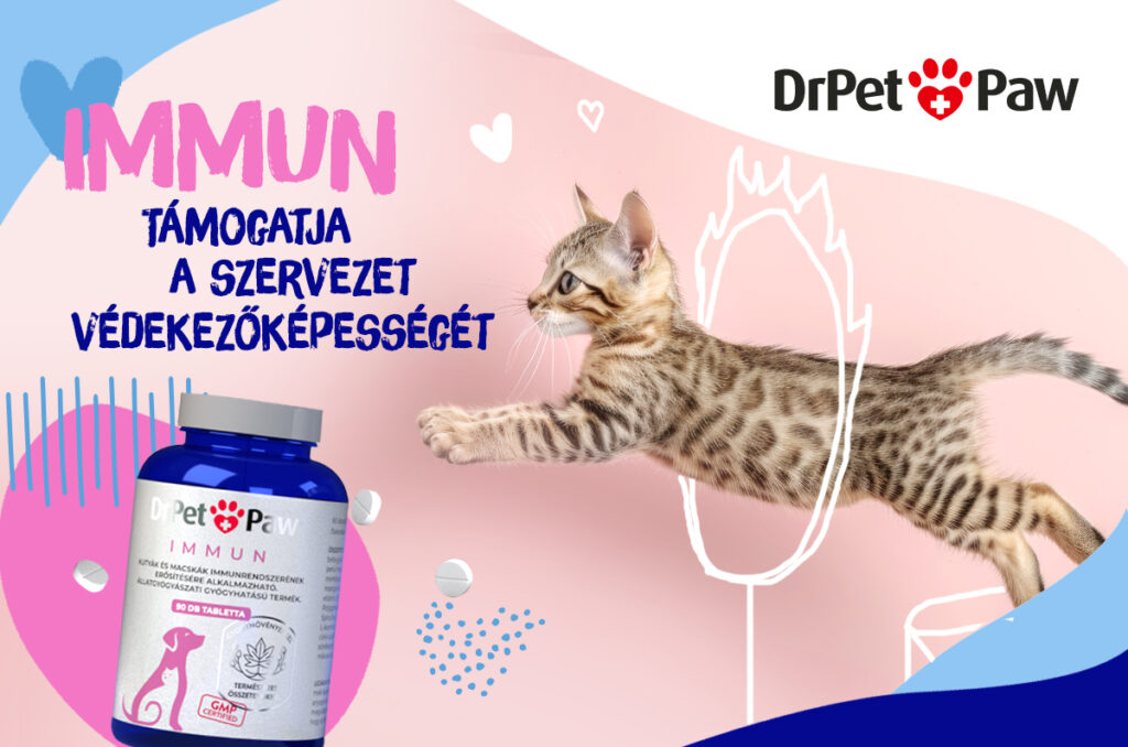 DrPetPaw Immun–Immunerősítő kutyáknak-macskáknak 90 tabletta
